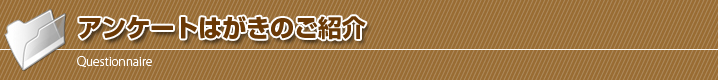 アンケートはがきのご紹介