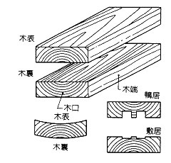 樹心に近いほうが木裏、表皮に近いほうが木表になります。