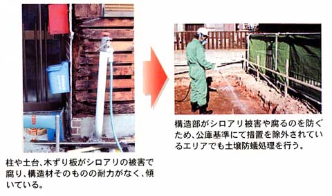 柱や土台、木ずり板がシロアリの被害で腐り、構造材そのものの耐力がなく、傾いている。